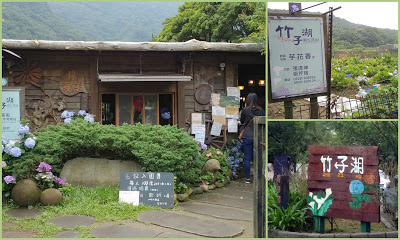 中壢社大週四趴趴走-陽明山竹子湖、水車寮步道、繡球花季