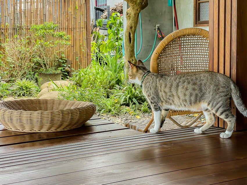 咕便所咖啡 x 美濃超隱密預約制咖啡店