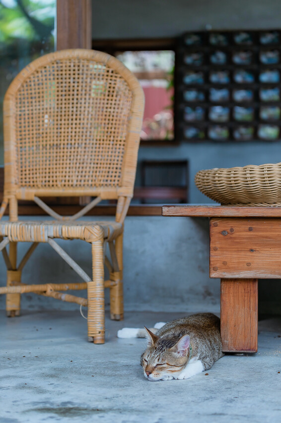 咕便所咖啡 x 美濃超隱密預約制咖啡店