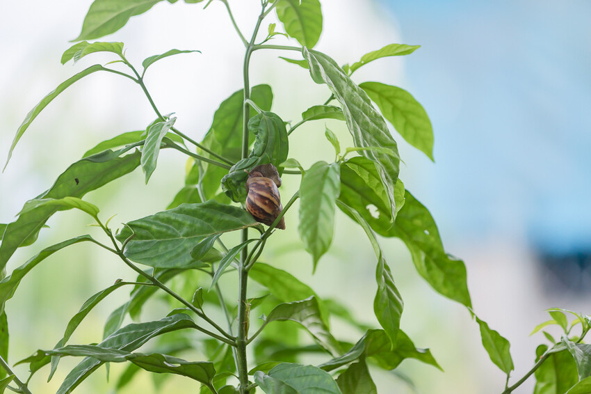 咕便所咖啡 x 美濃超隱密預約制咖啡店