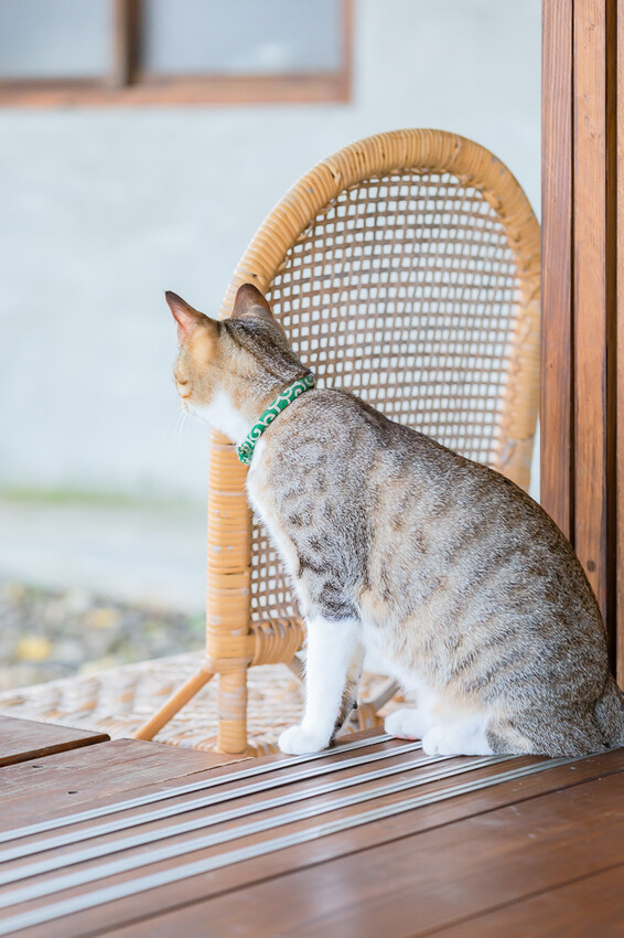 咕便所咖啡 x 美濃超隱密預約制咖啡店