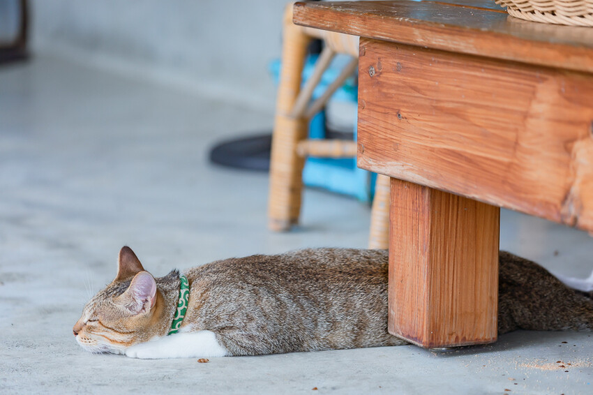 咕便所咖啡 x 美濃超隱密預約制咖啡店