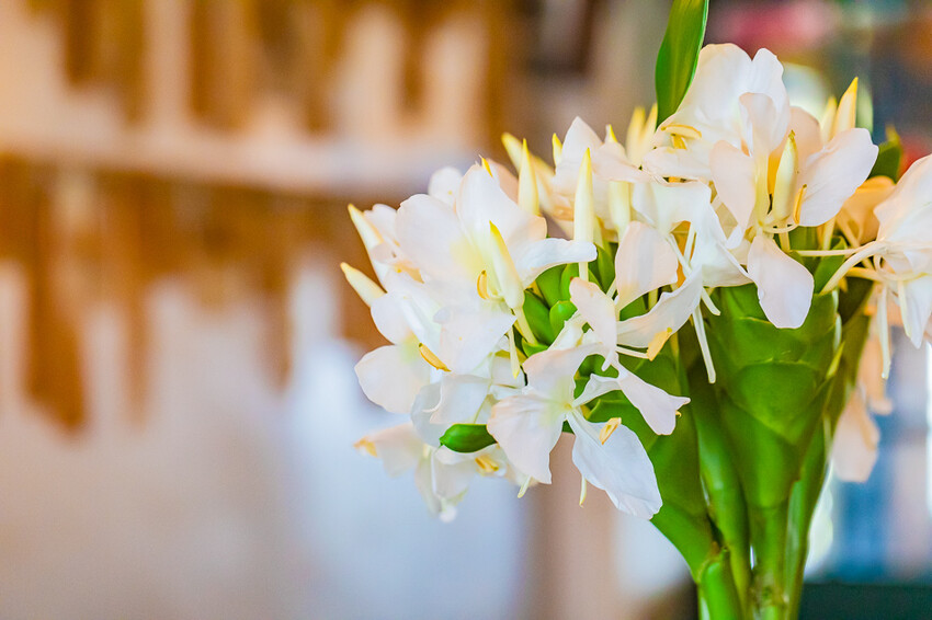 咕便所咖啡 x 美濃超隱密預約制咖啡店