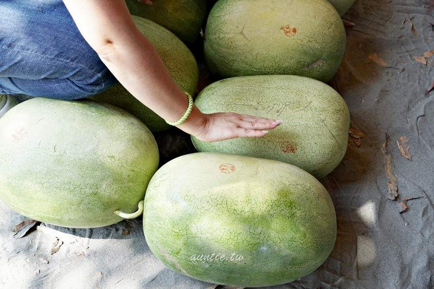 【花蓮】阿強西瓜 二代瓜農 自產自銷 來去台九線買西瓜！夏天就是要吃西瓜！ - 水晶安蹄 不務正業過生活