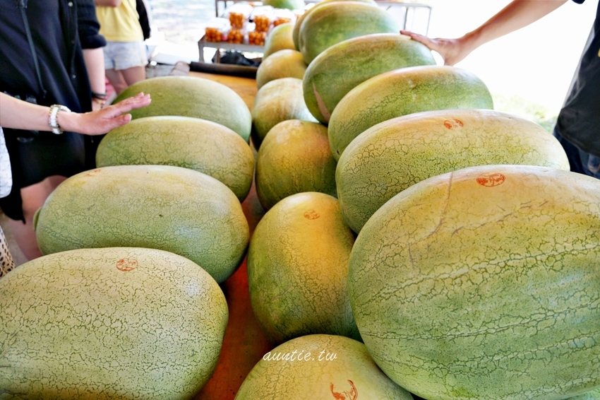 【花蓮】阿強西瓜 二代瓜農 自產自銷 來去台九線買西瓜！夏天就是要吃西瓜！ - 水晶安蹄 不務正業過生活