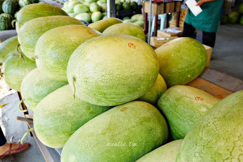 【花蓮】阿強西瓜 二代瓜農 自產自銷 來去台九線買西瓜！夏天就是要吃西瓜！ - 水晶安蹄 不務正業過生活