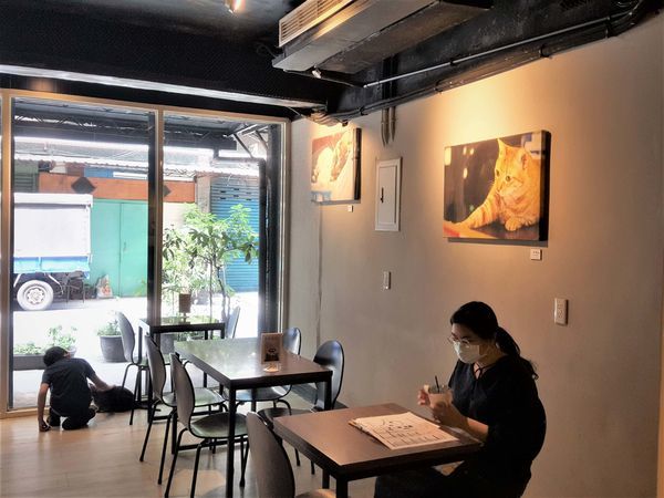 貓嘰咕咖啡_裝潢 (2).jpg