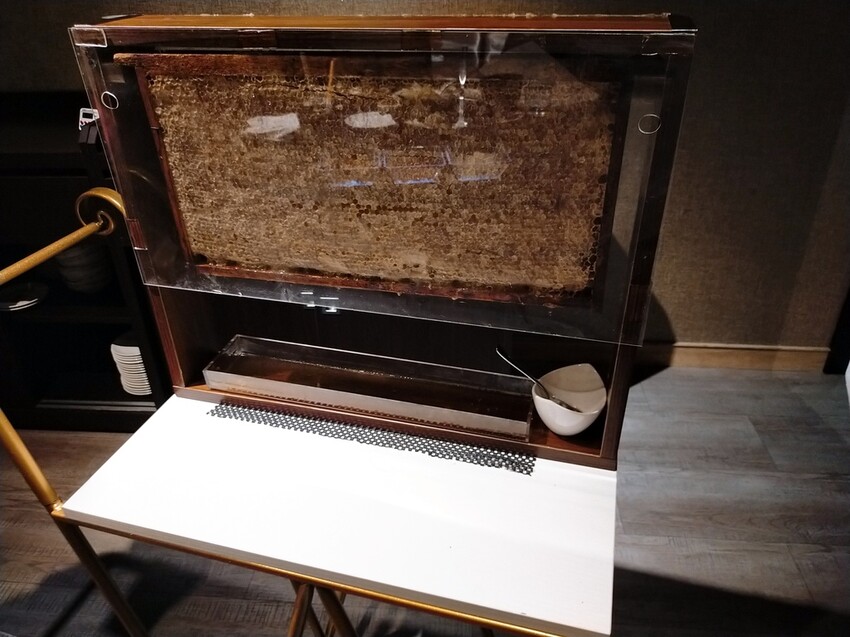 [分享] 大安9號鍋物。鐵板燒，母親節新品上市-蟲草花椰汁雞鍋物，是香江貴婦養顏美容的秘密，消暑更滋補養