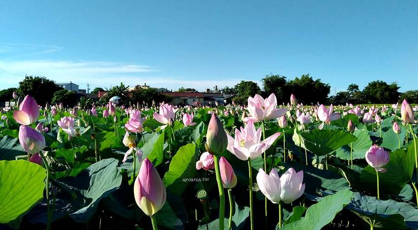 UA夏季特賣會│夏天來了趕快動起來!超多運動服飾鞋款每週一物1折起,OUTLET門市搶便宜趁現在 - 蘋果話日常
