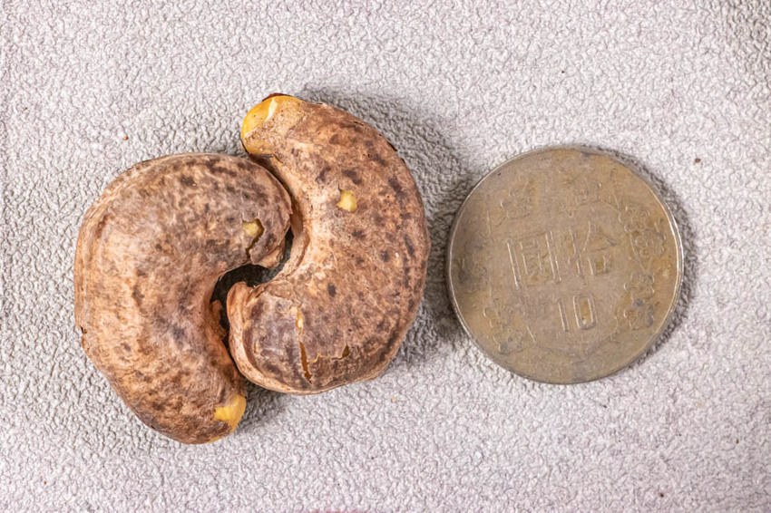 台北伴手禮,鼎薌小館不止賣台菜,還有顆顆飽滿進口腰果,新鮮吃法的夏威夷豆~逢年過節必備禮品。 - 微笑Joe幸運