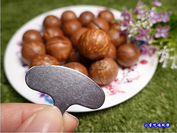 帶殼夏威夷豆-鼎薌小館 (7).jpg