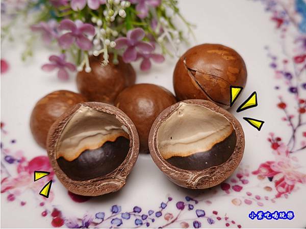 帶殼夏威夷豆-鼎薌小館 (3).jpg