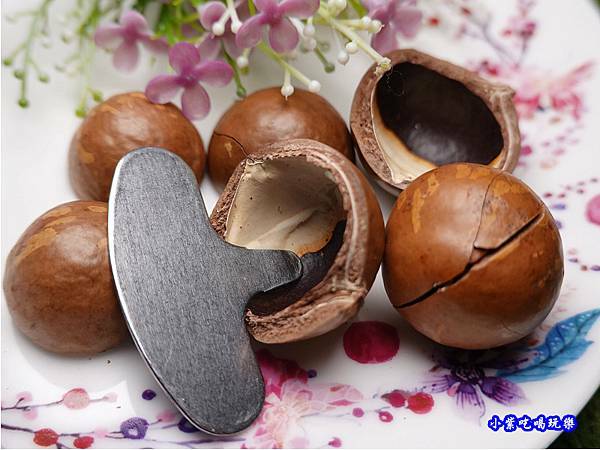 帶殼夏威夷豆-鼎薌小館  (12).jpg