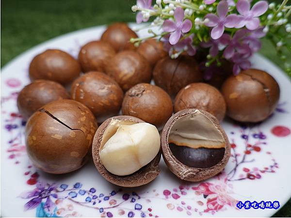 帶殼夏威夷豆-鼎薌小館 (2).jpg