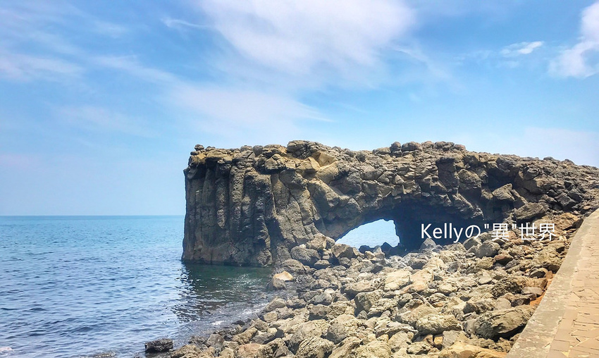 S__30826517_副本 鯨魚 S__30826517_副本 鯨魚