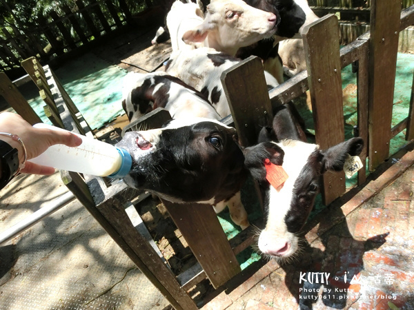 2019-7-7四方牧場 (15).jpg