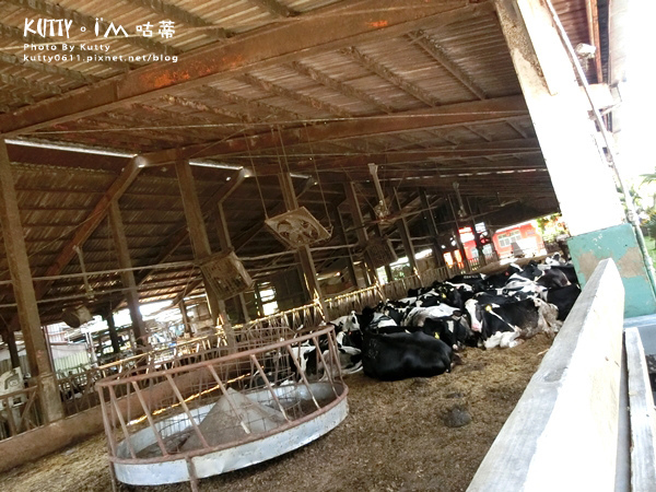 2019-7-7四方牧場 (7).jpg