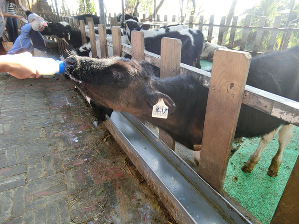 四方牧場 (24).jpg