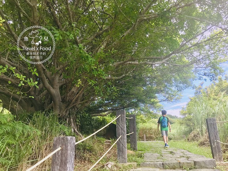 煙霧繚繞，熱氣騰騰，台版九寨溝「硫磺谷地熱景觀區」 @魚兒 x 牽手明太子的「視」界旅行