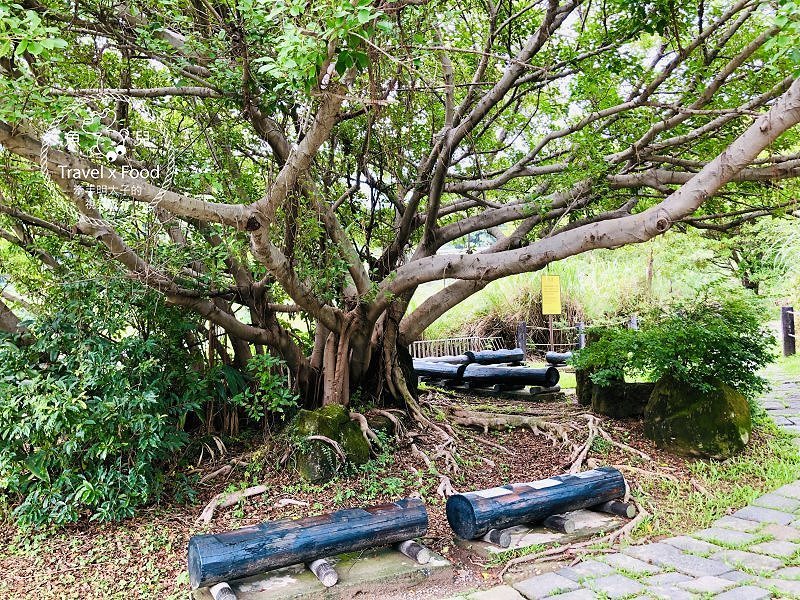 煙霧繚繞，熱氣騰騰，台版九寨溝「硫磺谷地熱景觀區」 @魚兒 x 牽手明太子的「視」界旅行
