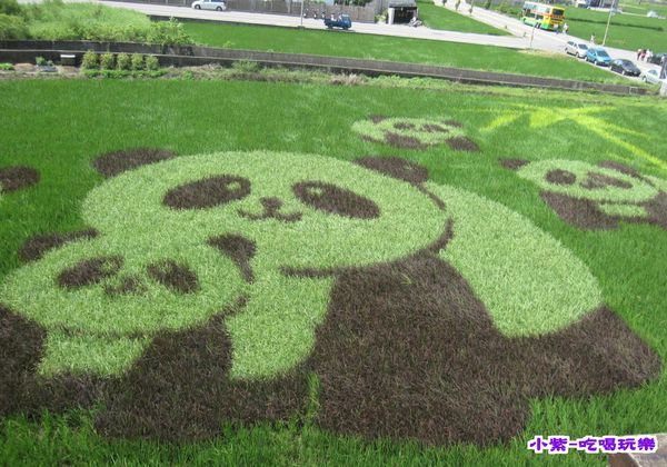 2015熊貓彩繪稻田 (3).jpg