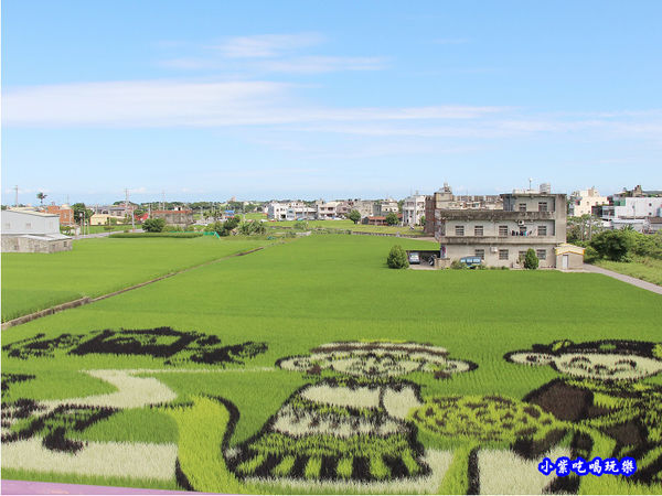 2020老鼠娶親-苑裡彩繪稻田 (3).jpg