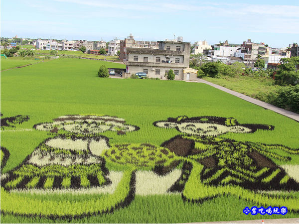 2020老鼠娶親-苑裡彩繪稻田 (5).jpg