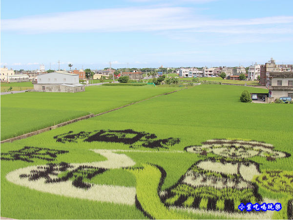 2020老鼠娶親-苑裡彩繪稻田 (4).jpg