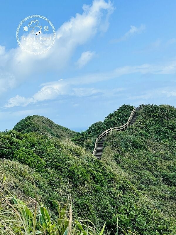 披著迷彩外衣的建築，沿著彩虹階梯通往海崖上的咖啡館，一起來聽濤cafe，讓貓咪小濤陪伴你 @魚兒 x 牽手明太子的「視」界旅行