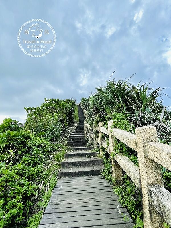 披著迷彩外衣的建築，沿著彩虹階梯通往海崖上的咖啡館，一起來聽濤cafe，讓貓咪小濤陪伴你 @魚兒 x 牽手明太子的「視」界旅行