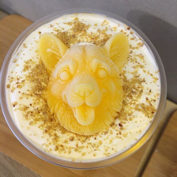 95634707_10220746277582176_2092699772476456960_n.jpg 95634707_10220746277582176_2092699772476456960_n.jpg