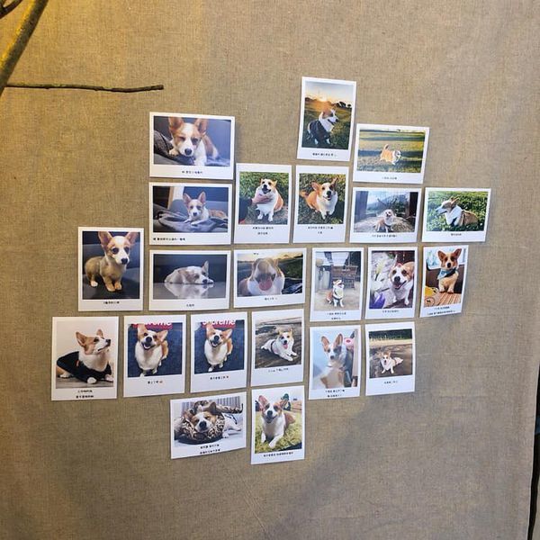 95345724_10220746279862233_987314231462330368_n.jpg 95345724_10220746279862233_987314231462330368_n.jpg