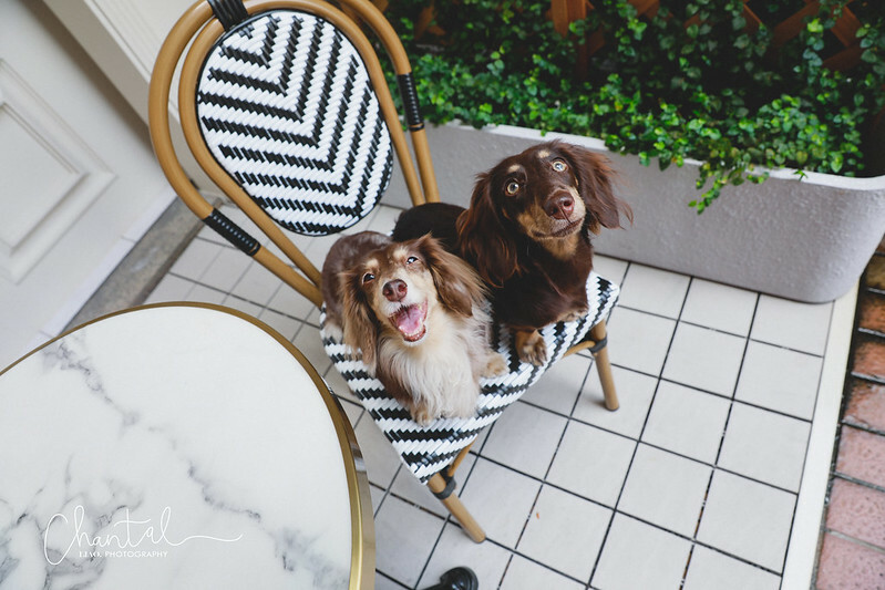 _J6A6044-2拷貝 拷貝