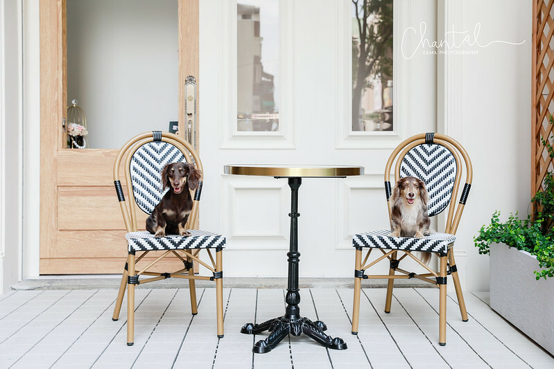 _J6A6028-2拷貝 拷貝