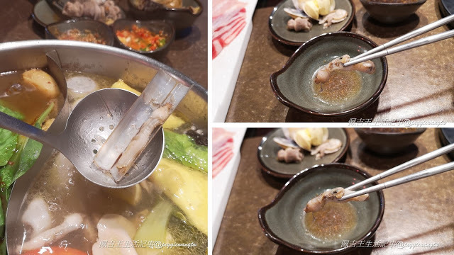 汐止人激推 平價火鍋吃到飽！藝爐晏 火鍋美術館：珍稀手工鍋料.高檔甜點上百種食材只要399起︱新北美食