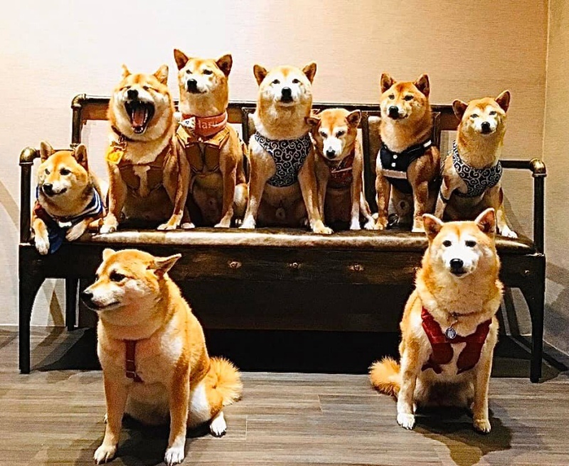 /tmp/phpLJOtRr /tmp/phpLJOtRr