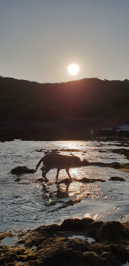 241297.jpg - 【屏東.恆春】小峇里島岩。記得帶肉泥。可以享受被貓咪包圍的感覺。這裡夕陽超美麗 241297.jpg - 【屏東.恆春】小峇里島岩。記得帶肉泥。可以享受被貓咪包圍的感覺。這裡夕陽超美麗