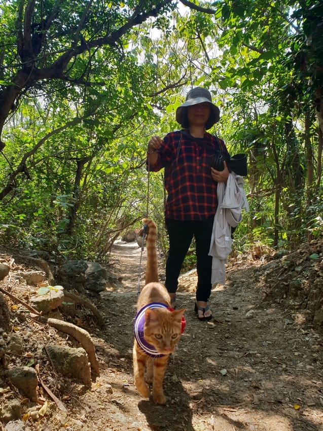 241260.jpg - 【屏東.恆春】小峇里島岩。記得帶肉泥。可以享受被貓咪包圍的感覺。這裡夕陽超美麗 241260.jpg - 【屏東.恆春】小峇里島岩。記得帶肉泥。可以享受被貓咪包圍的感覺。這裡夕陽超美麗