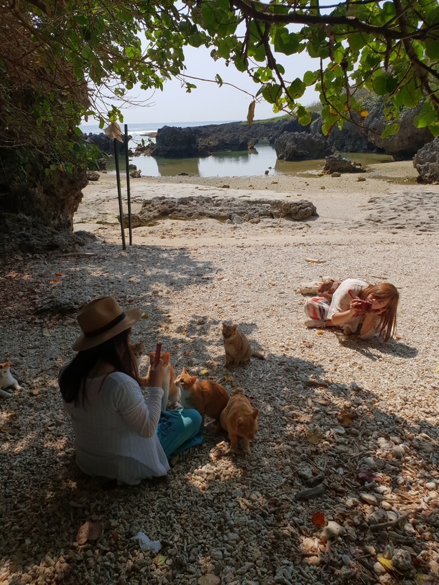 241266.jpg - 【屏東.恆春】小峇里島岩。記得帶肉泥。可以享受被貓咪包圍的感覺。這裡夕陽超美麗 241266.jpg - 【屏東.恆春】小峇里島岩。記得帶肉泥。可以享受被貓咪包圍的感覺。這裡夕陽超美麗