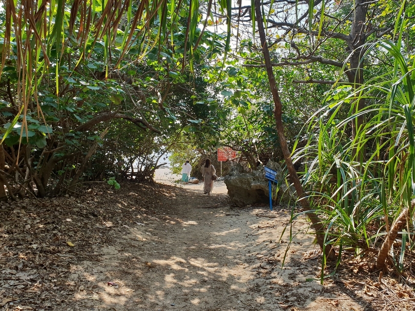 241280.jpg - 【屏東.恆春】小峇里島岩。記得帶肉泥。可以享受被貓咪包圍的感覺。這裡夕陽超美麗 241280.jpg - 【屏東.恆春】小峇里島岩。記得帶肉泥。可以享受被貓咪包圍的感覺。這裡夕陽超美麗