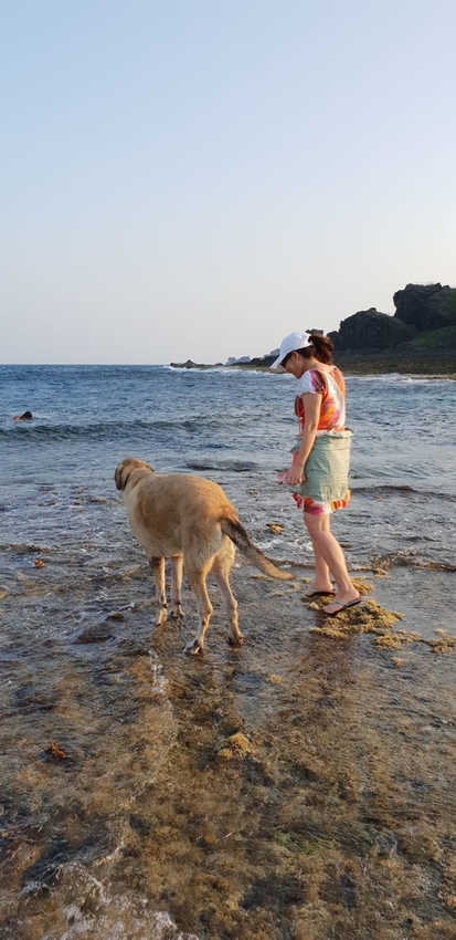 241298.jpg - 【屏東.恆春】小峇里島岩。記得帶肉泥。可以享受被貓咪包圍的感覺。這裡夕陽超美麗 241298.jpg - 【屏東.恆春】小峇里島岩。記得帶肉泥。可以享受被貓咪包圍的感覺。這裡夕陽超美麗