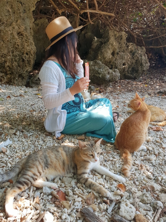 241264.jpg - 【屏東.恆春】小峇里島岩。記得帶肉泥。可以享受被貓咪包圍的感覺。這裡夕陽超美麗 241264.jpg - 【屏東.恆春】小峇里島岩。記得帶肉泥。可以享受被貓咪包圍的感覺。這裡夕陽超美麗