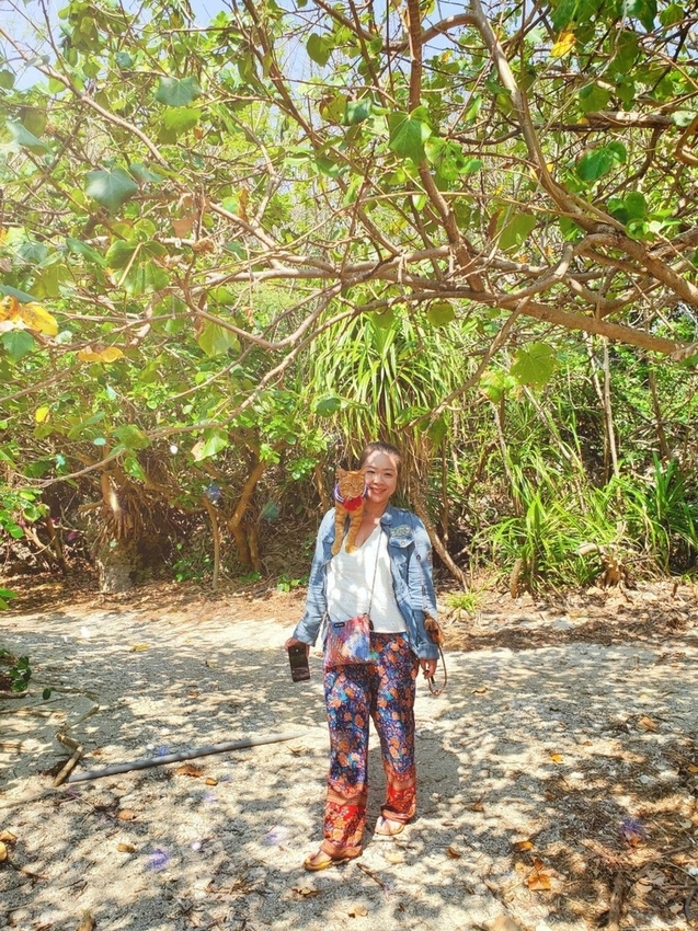 241284.jpg - 【屏東.恆春】小峇里島岩。記得帶肉泥。可以享受被貓咪包圍的感覺。這裡夕陽超美麗 241284.jpg - 【屏東.恆春】小峇里島岩。記得帶肉泥。可以享受被貓咪包圍的感覺。這裡夕陽超美麗