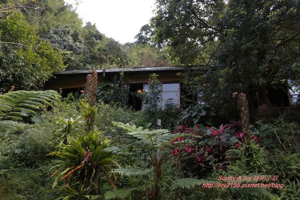 IMG_2725.JPG IMG_2725.JPG