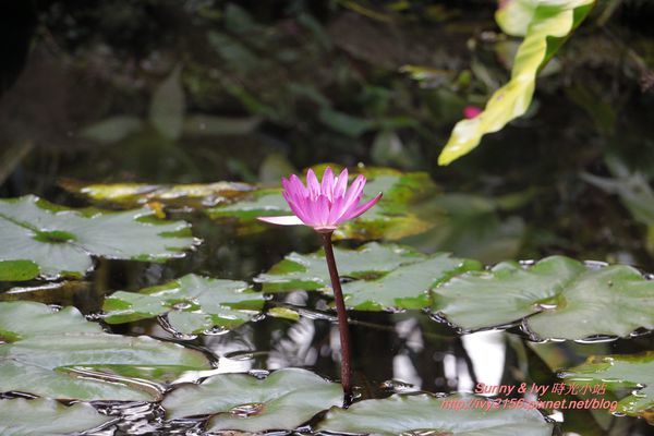 IMG_2708.JPG IMG_2708.JPG