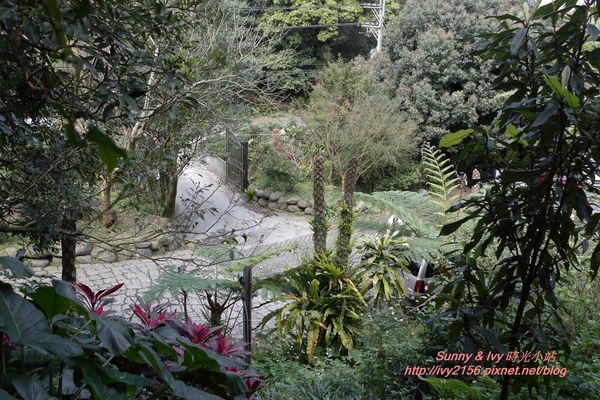 IMG_2695.JPG IMG_2695.JPG