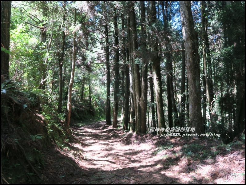 杉林溪64.JPG