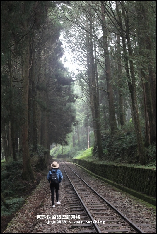 阿里山眠月線3.JPG