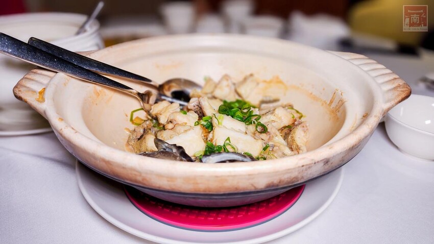 【臺南美食】“復刻老粵菜”經典再現，香港籍袁東海主廚重新演繹幾近失傳的廣東老菜，美極龍穿鳳翼、吊片蒸手剁肉餅、白雪藏龍等，每道160元起~彩豐樓粵式餐廳  - 南人幫