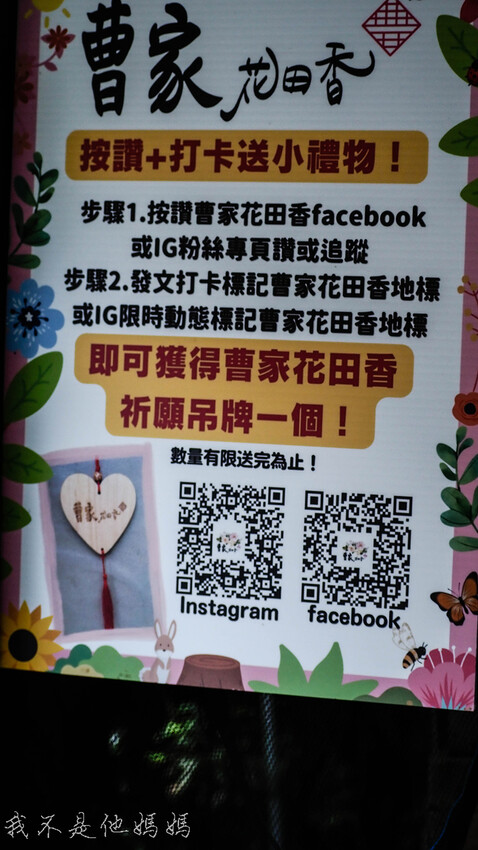 繡球花季,竹子湖賞花,曹家花田香,高家繡球,賞繡球花,繡球花季2022, 陽明山繡球花季2022,繡球花季陽明山, 陽明山繡球花月份